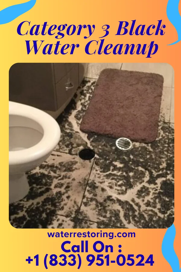Category 3 Black Water Cleanup in St. Martin, OH