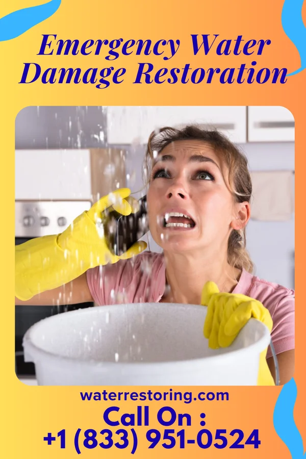 Emergency Water Damage Restoration in St. Martin, OH