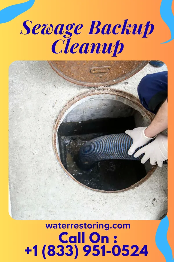 Sewage Backup Cleanup in St. Martin, OH