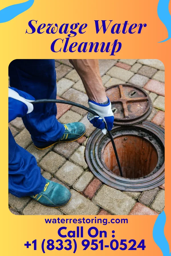 Sewage Water Cleanup in St. Martin, OH