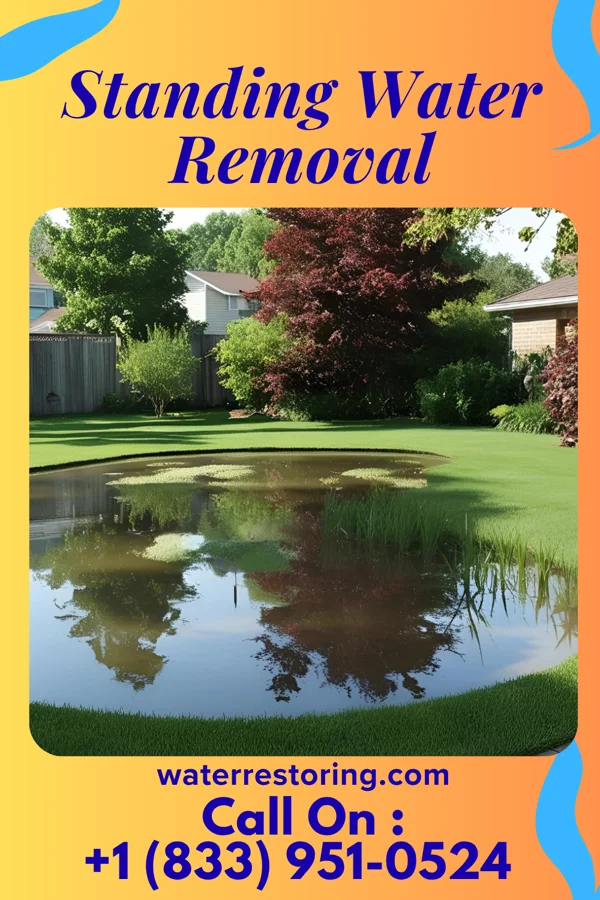 Standing Water Removal in St. Martin, OH